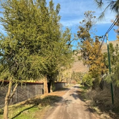 470488227_18022686968631456_270056375157851711_n